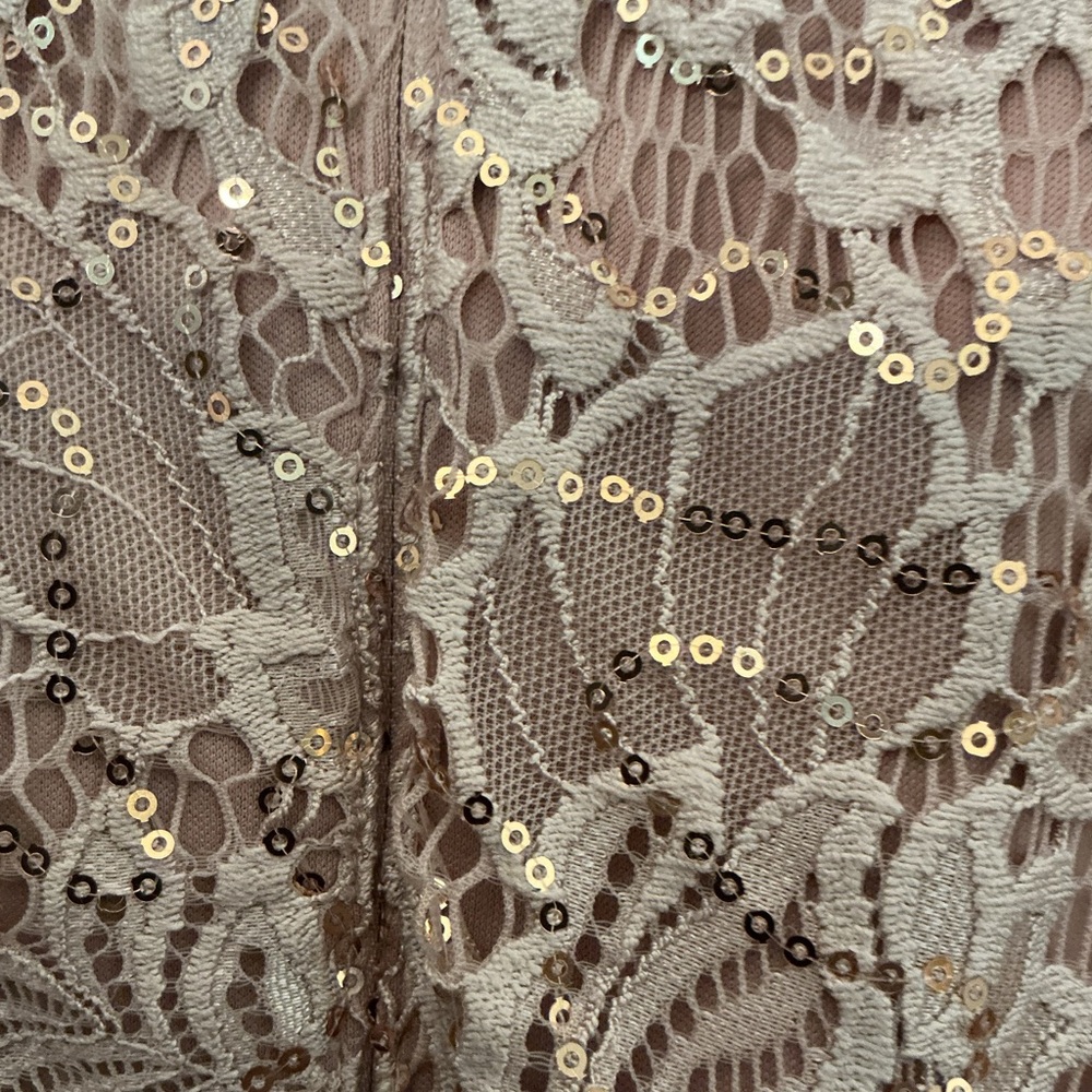 Roz & Ali Blush Lace Sequin Midi Dress - Picture 8 of 8